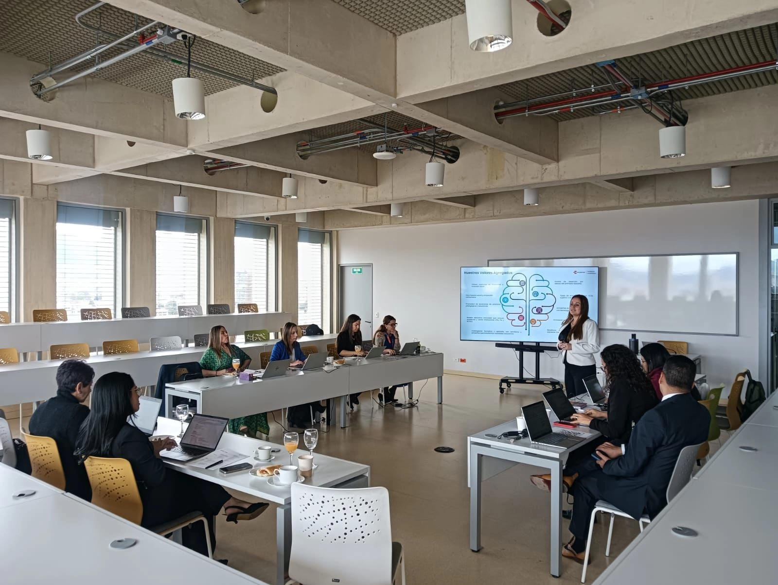 Mentora Consultores - Evaluación institucional